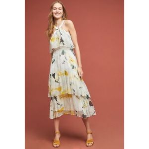 Anthropologie Garden Party Midi Dress